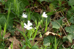 P1350366