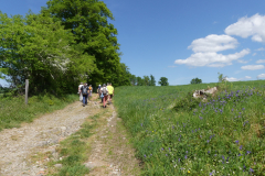 P1360248