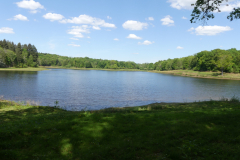 P1360262