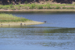 P1360264