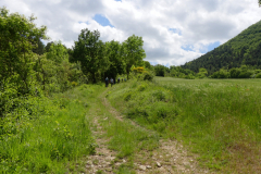 P1360652