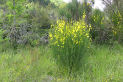 P1360655