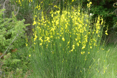 P1360656