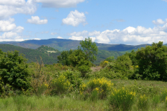 P1360659