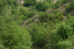 P1360369