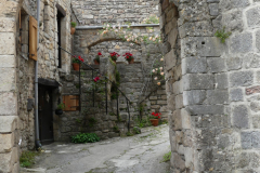 P1360428