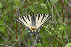 P1360439