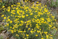 P1360445