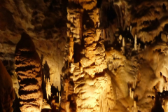 P1360969