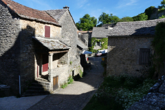 P1360729