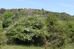 P1360771