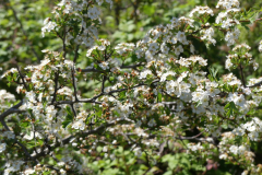 P1360776