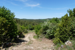 P1360777