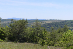 P1360781
