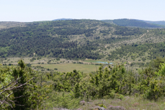 P1360783