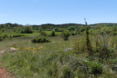 P1360785