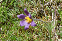 P1360786
