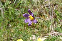 P1360787