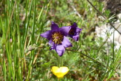 P1360788