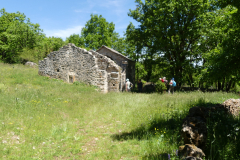 P1360789