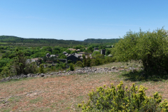 P1360798