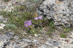 P1360800