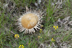 P1360453