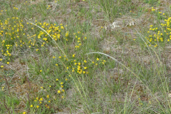 P1360461