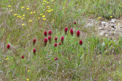 P1360465