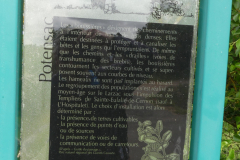 P1360550