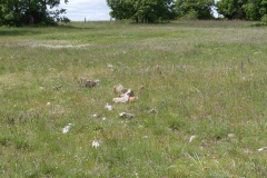 P1360553