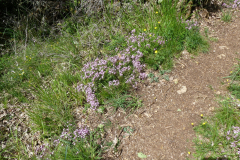 P1360568
