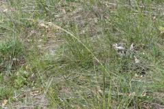 P1360570