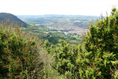 P1360578
