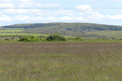P1360584