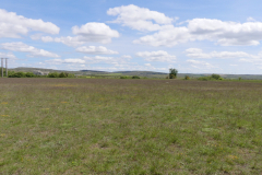 P1360585