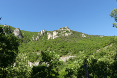 P1360588