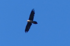 P1360590