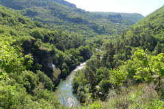 P1360592
