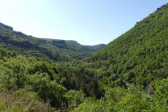 P1360593