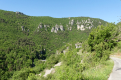 P1360594