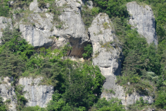 P1360595