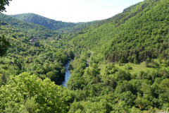 P1360596