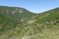P1360597