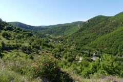 P1360598