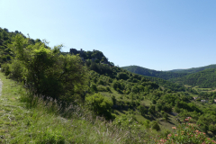 P1360599