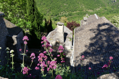 P1360609