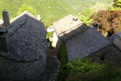 P1360617