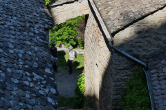 P1360618