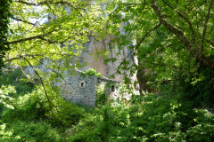 P1360623